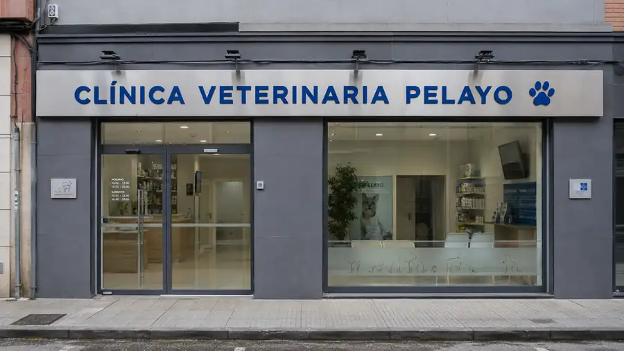 Rótulo de fachada de Clinica Veterinaria Pelayo fabricado e instalado por Pingraf en Asturias